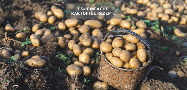 Einfache Kartoffel Rezepte